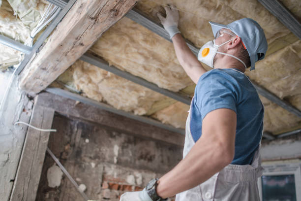 Best Residential Insulation Services  in Mount Zion, GA