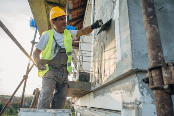 Best Insulation Removal  in Mount Zion, GA