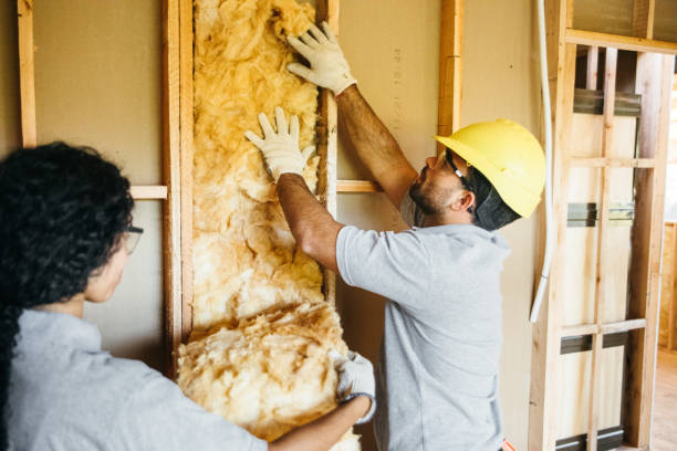 Best Wall Insulation Contractor  in Mount Zion, GA