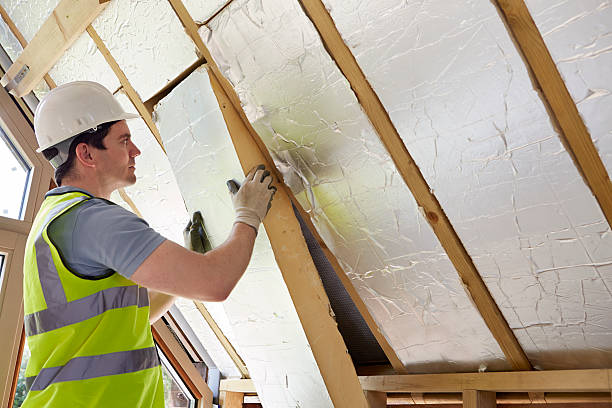Best Spray Foam Insulation  in Mount Zion, GA