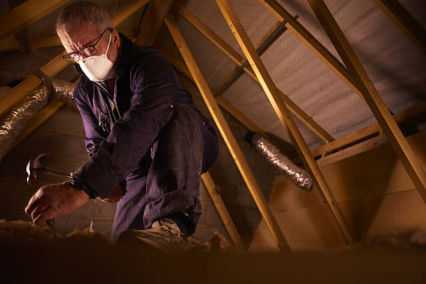 Best Local Insulation Services  in Mount Zion, GA