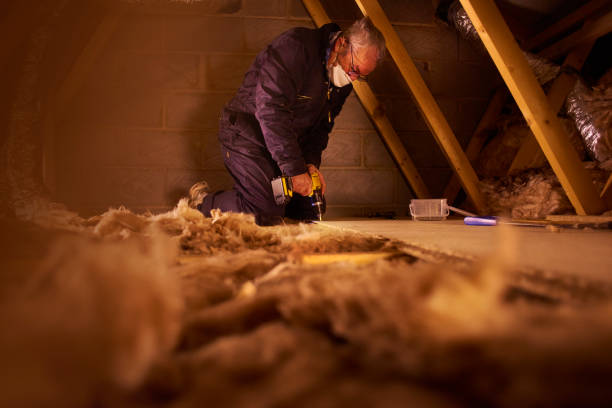 Best Local Insulation Services  in Mount Zion, GA