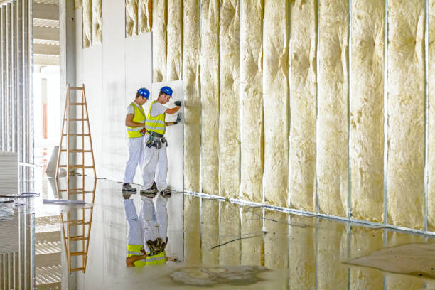 Best Professional Insulation Contractor  in Mount Zion, GA